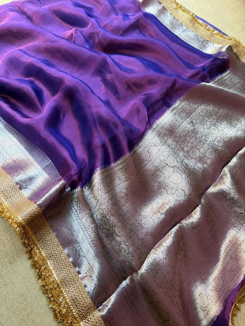 Champagne Riwaayat Ornate Border Banarasi Saree
