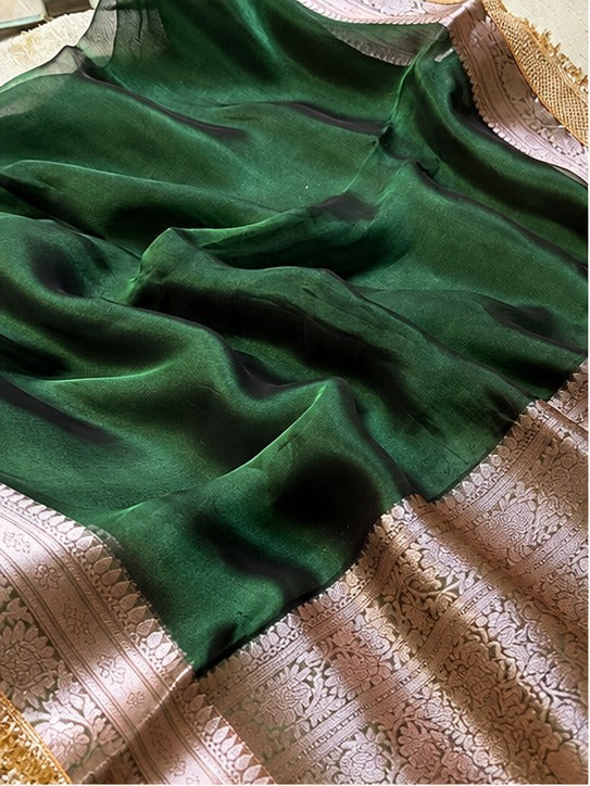 Champagne Riwaayat Ornate Border Banarasi Saree