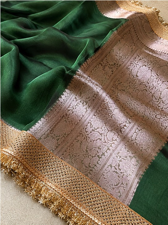 Champagne Riwaayat Ornate Border Banarasi Saree