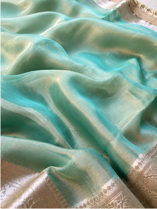 Champagne Riwaayat Ornate Border Banarasi Saree