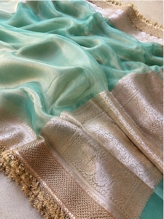 Champagne Riwaayat Ornate Border Banarasi Saree