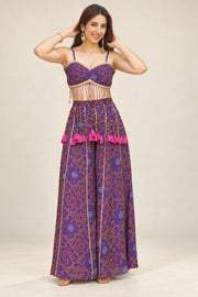 Jamuni Bandhej Tassel Palazzo Set
