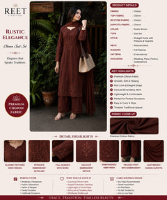 Noor Mocha Chikankari Kurta Set