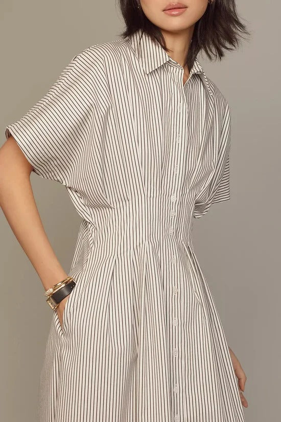 Striped Pleated Waist Tobie Dress