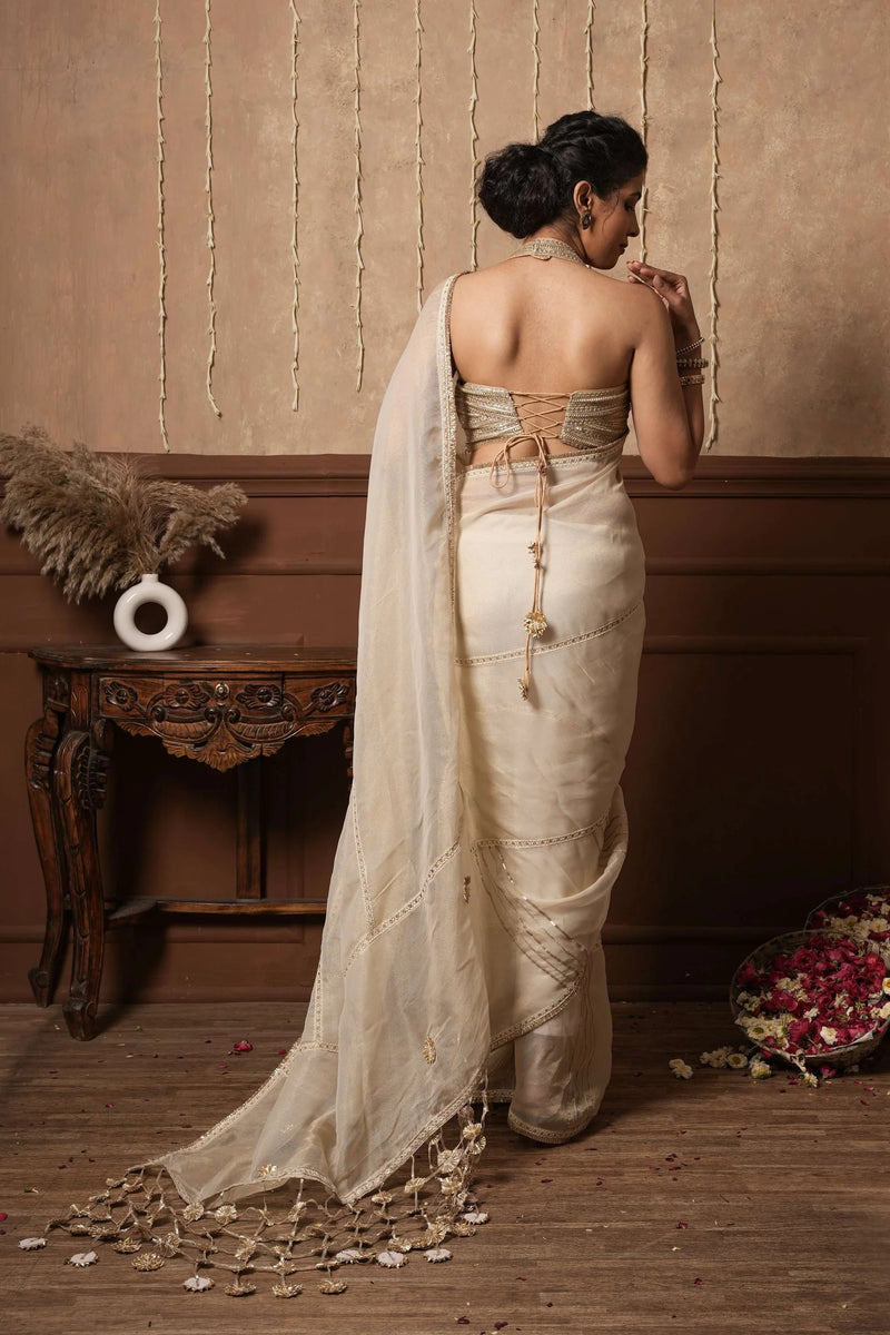 Naaz – Pure Mul Chanderi Saree