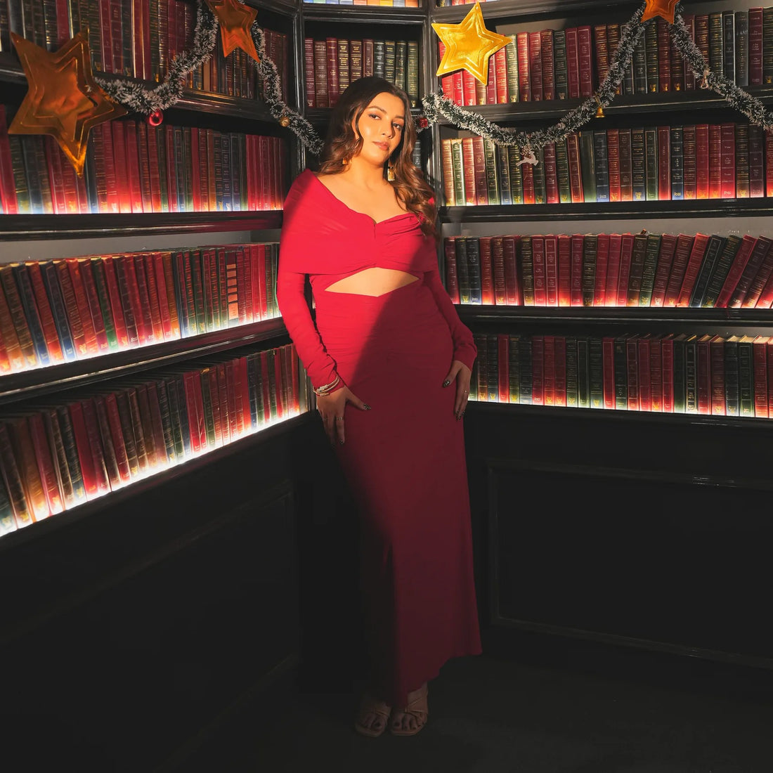 Net and Balloon Lycra Long Dress