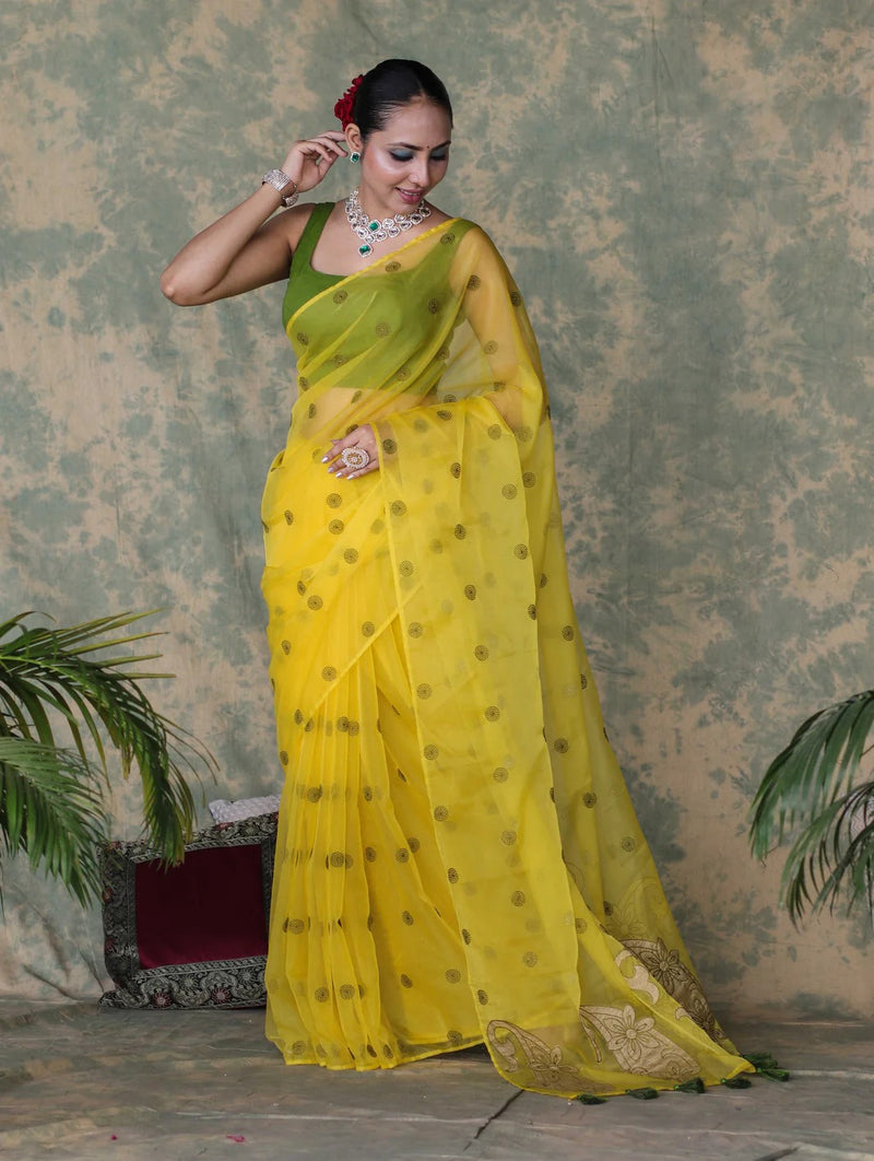 Vastra Veda Ivory Organza Banarasi Butti Saree with Red Embroidery with a Stitched Blouse
