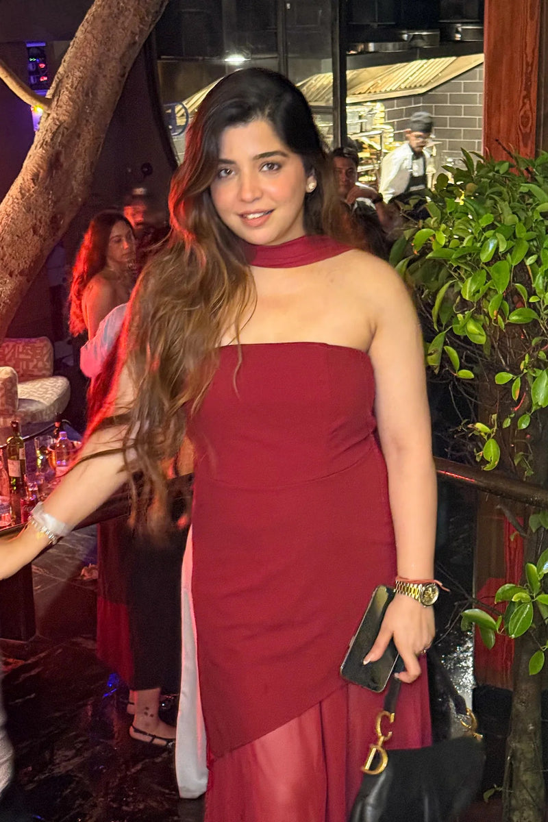 Net Megan Elegant Tube Party Dress