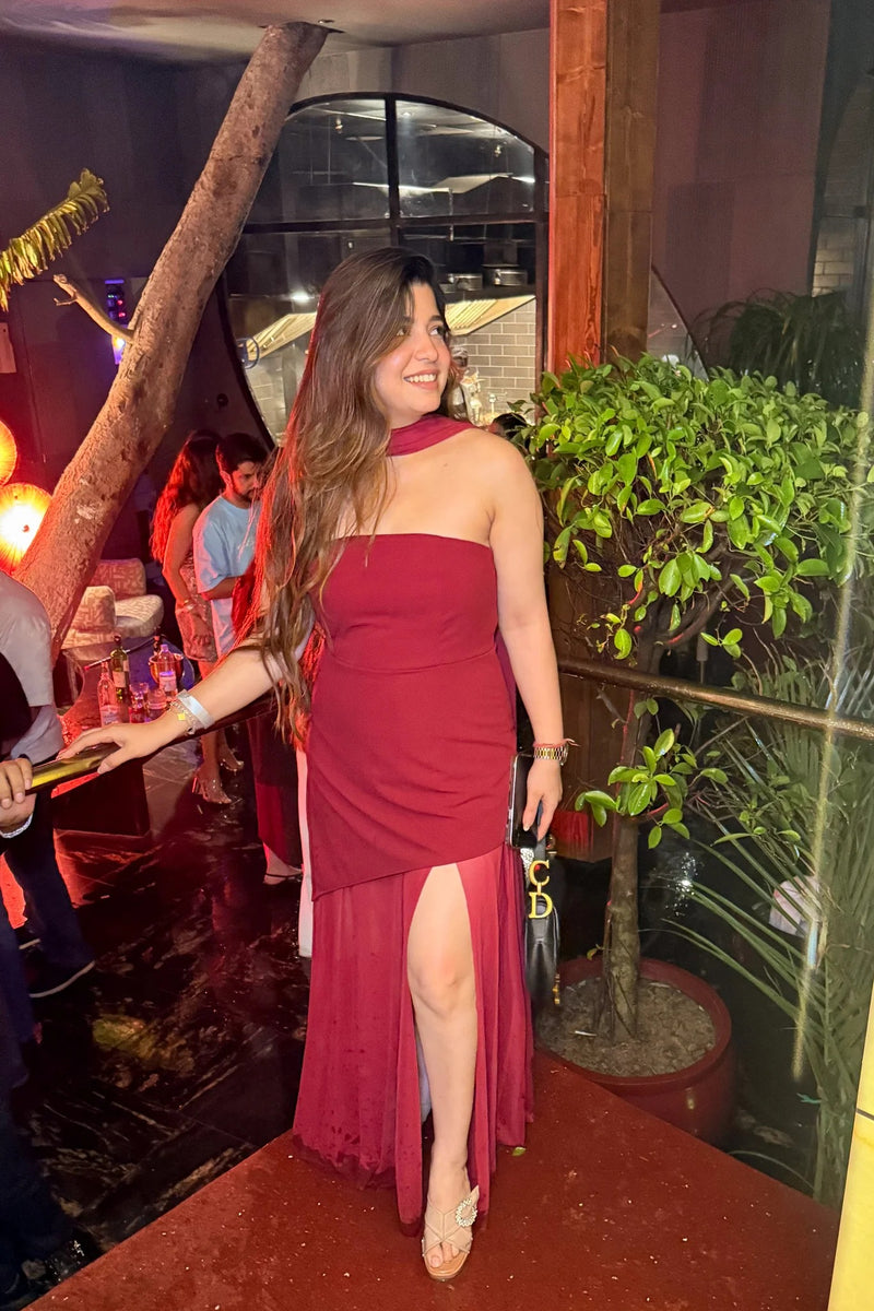 Net Megan Elegant Tube Party Dress