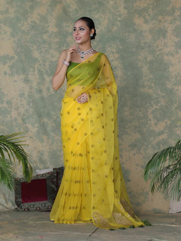 Vastra Veda Ivory Organza Banarasi Butti Saree with Red Embroidery with a Stitched Blouse