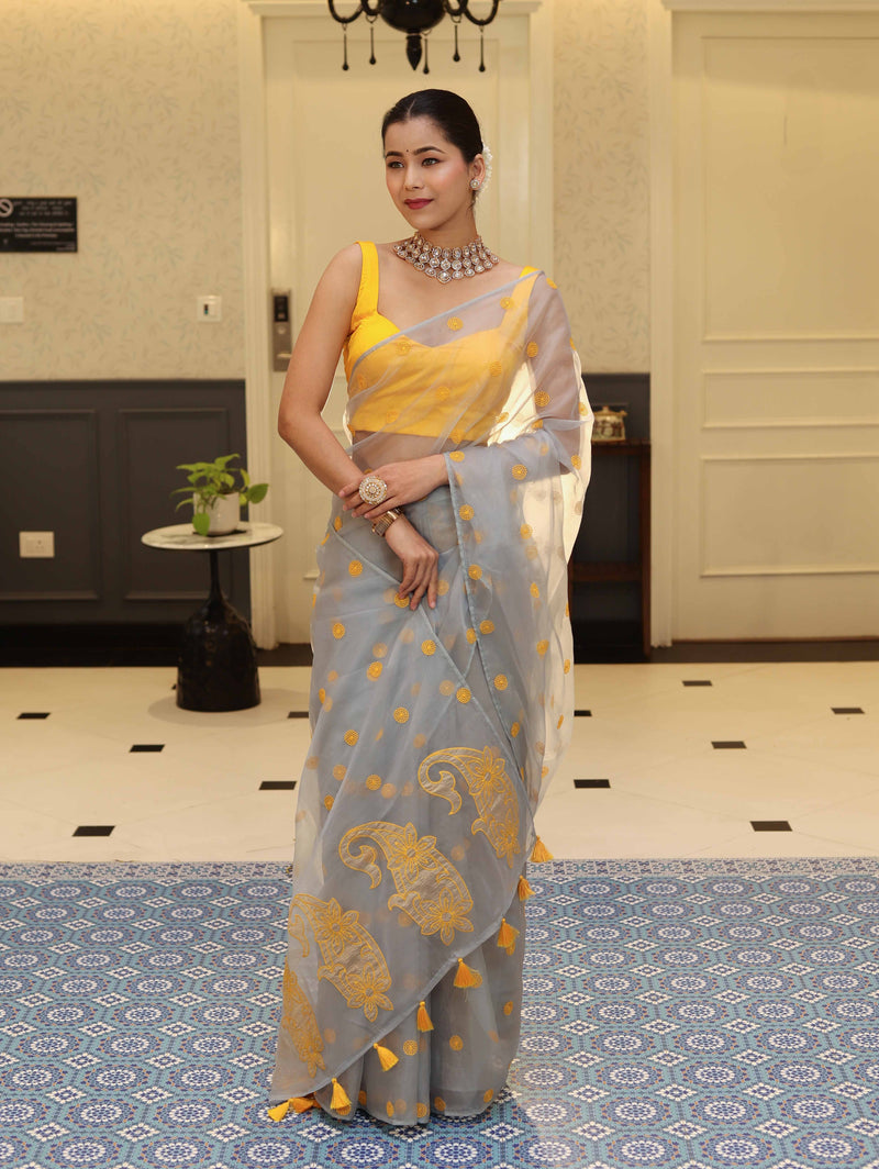 Vastra Veda Ivory Organza Banarasi Butti Saree with Red Embroidery with a Stitched Blouse