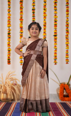 organza half saree