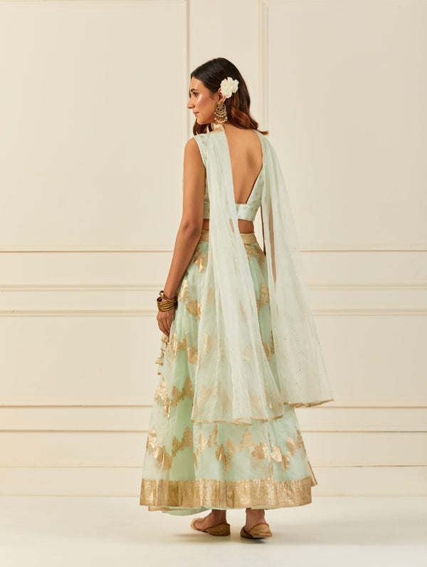 Light Green Organza Banarasi Lehenga With Mukaish Dupatta
