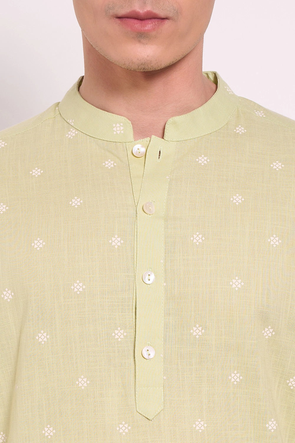 Light green ethnic wear