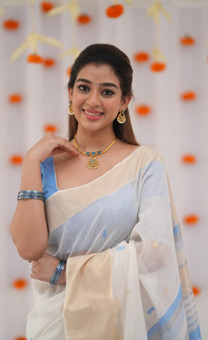 Pastel blue saree with blouse