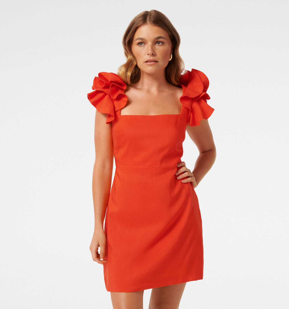 Mackenzie Ruffle Sleeve Mini Dress