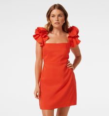 Mackenzie Ruffle Sleeve Mini Dress