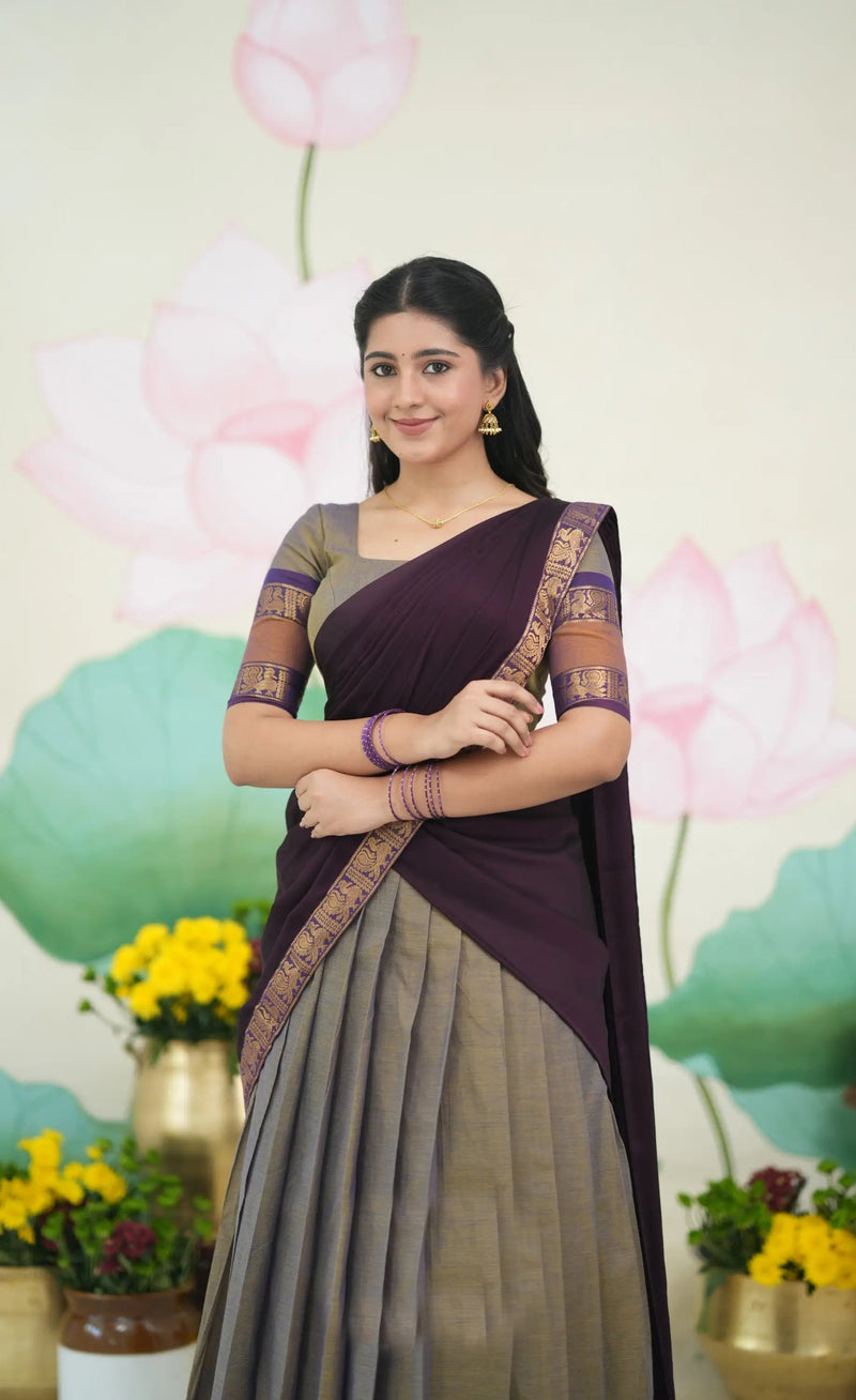 brownish grey saree
