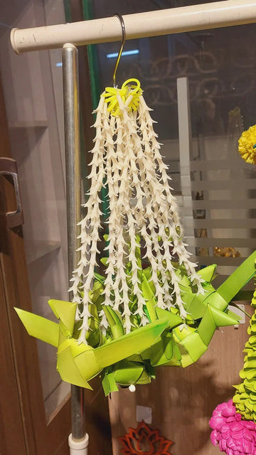 Parrot Lilly Strings