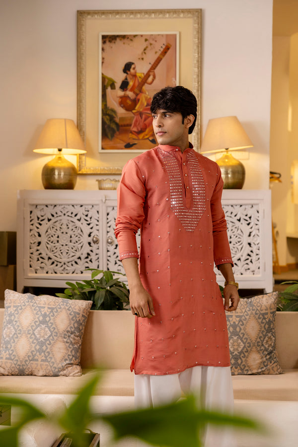 Designer kurta with neck embroidery