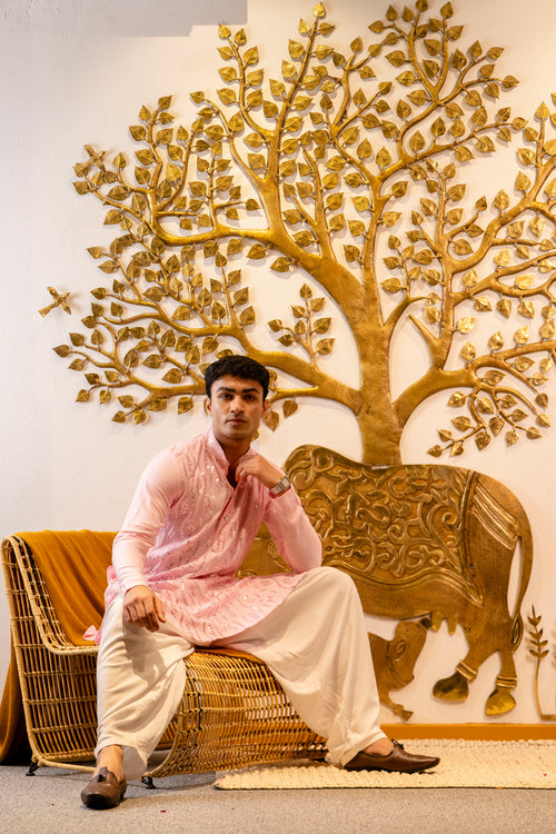 Designer kurta with mirror work