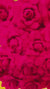 Ganesha Foam Base Backdrop Decorations