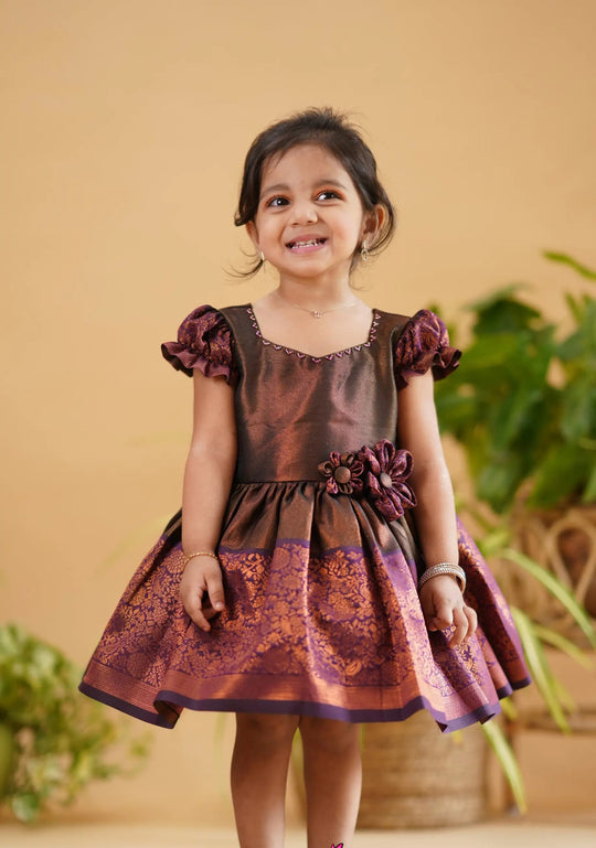 Princess Brown Purple Silk Frock