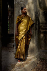 Shikhara Gold Handwoven Tissue Saree