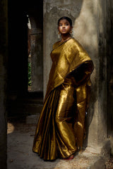 Shikhara Gold Handwoven Tissue Saree