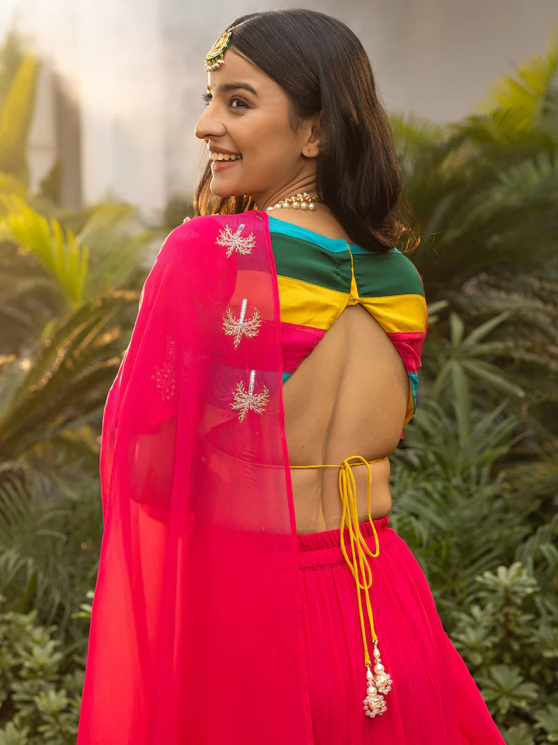 Blush Pink Organza Handwork Saree with Blouse